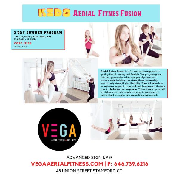 Vega Aerial Fitness + Wellness POP UP Studio