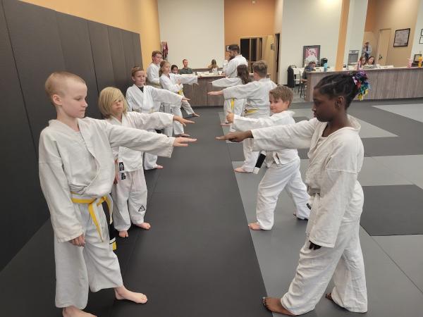 Metro Karate & Jiu Jitsu Academy
