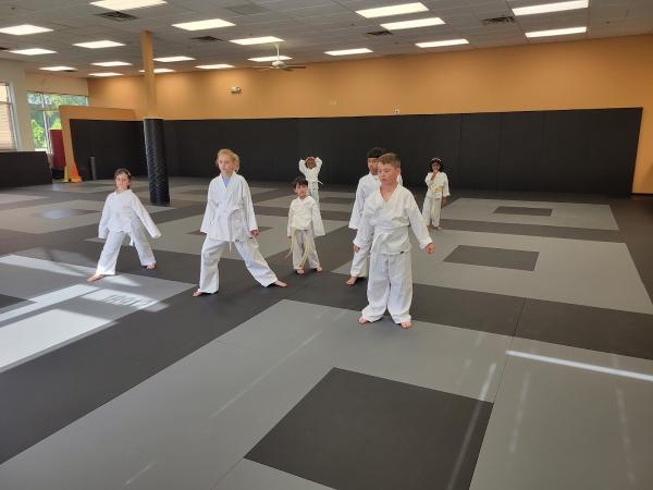 Metro Karate & Jiu Jitsu Academy