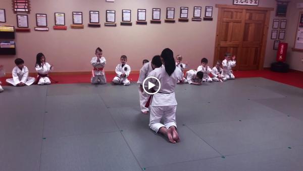 Academy of Traditional Karate