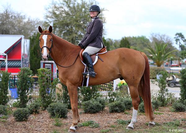 Shamrock Show Stables