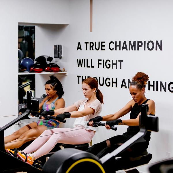 Mayweather Boxing and Fitness of South Tampa