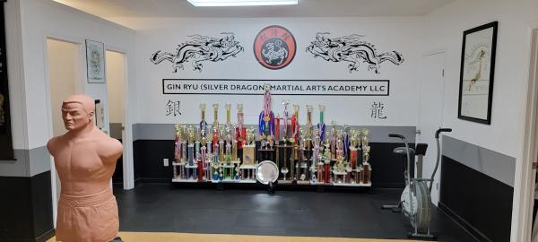 Gin Ryu (Silver Dragon) Martial Arts Academy LLC