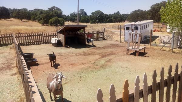 Opportunity Acres