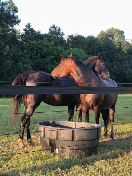 Cedar Oak Farm & C.o.f. Pottery