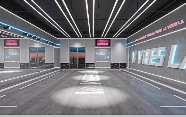 Vibes LA Dance Studio