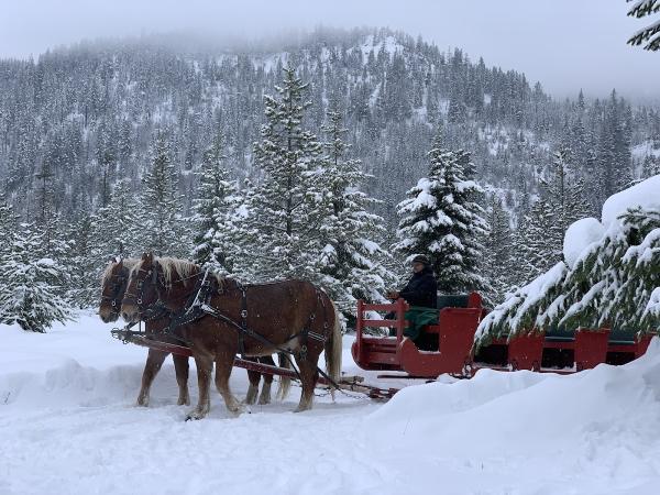 Three Peaks Outfitters