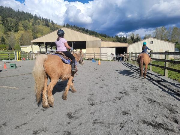Cougar Mountain Stables