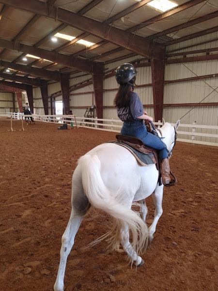 Bay Area Equestrian Center