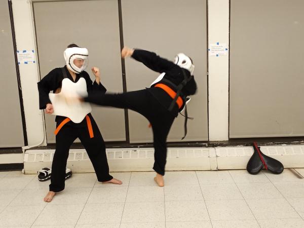 Shorinjiryu Karate Kensokukai Dojo