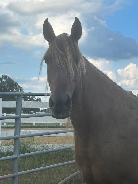 Munday Morning Acres