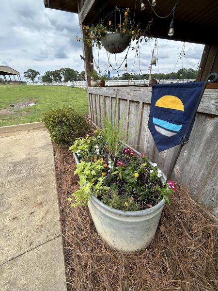 Munday Morning Acres