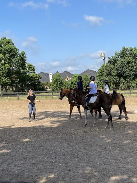 North Houston Horse Park