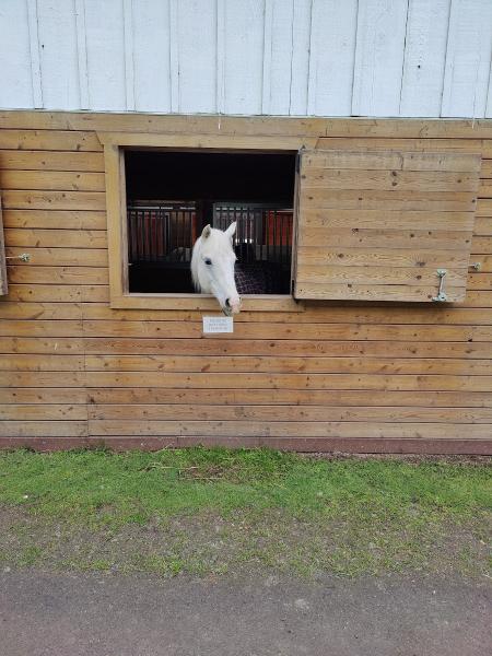 Gold Creek Equestrian Center