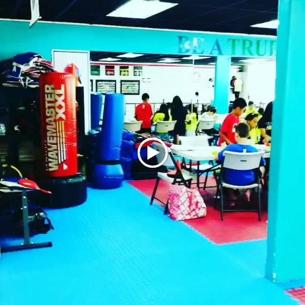 True Martial Arts Excellence (Tmax)