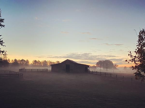 Misty Hill Farm