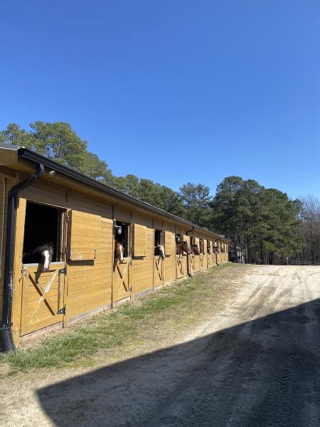 Mountain Refined Equestrian Center