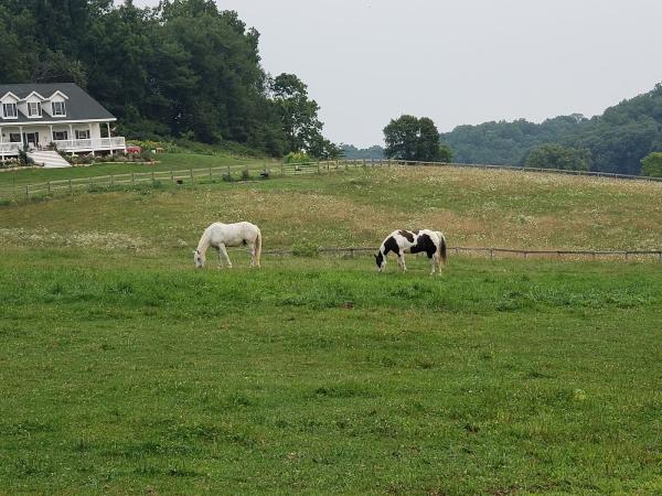 Big Heart Ranch