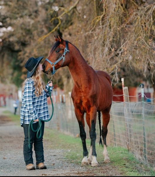 Saddle Up Sactown at Craigmont Equestrian Center