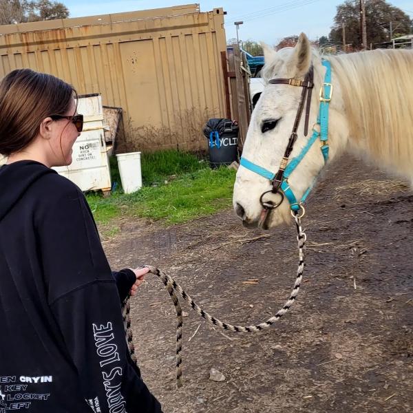 Saddle Up Sactown at Craigmont Equestrian Center