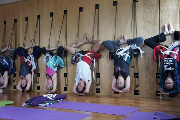 The Daley Practice Iyengar Yoga of Asbury Park