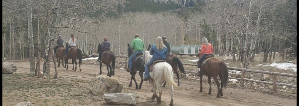 Elkhorn Stables