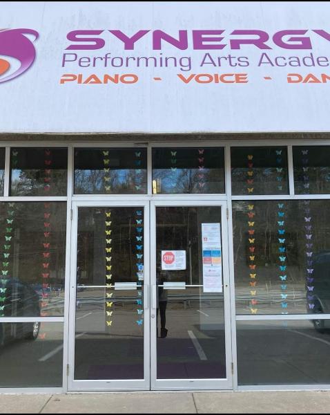 Synergy Performing Arts Academy