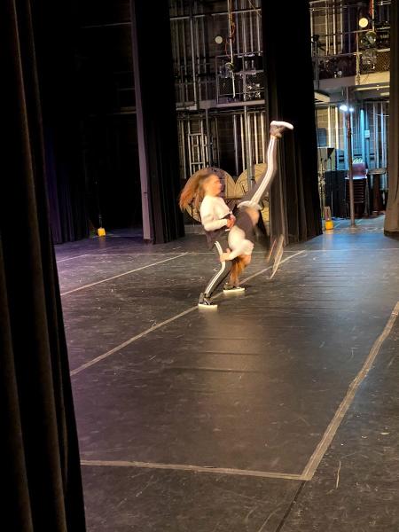 Premier Dance Center