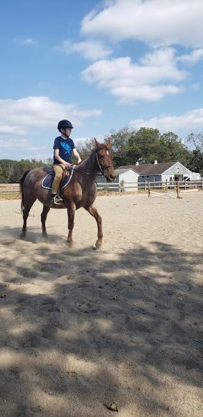 Sauer's Riding School