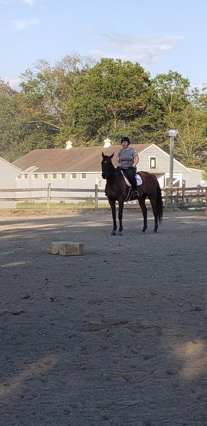 Sauer's Riding School