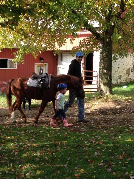 Cedar Fox Farm