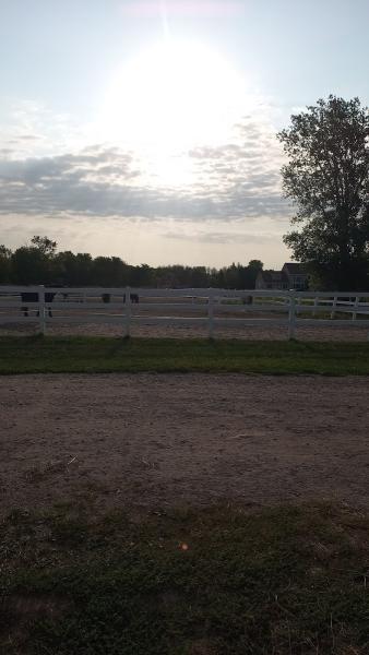 Hardwood Creek Farm