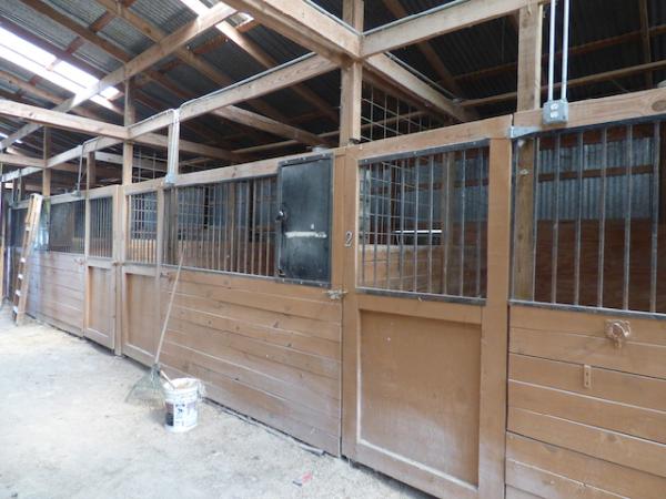 White Horse Ranch
