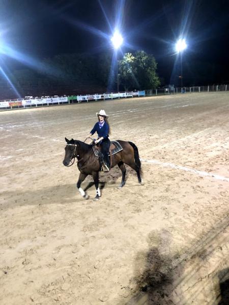 Kinected Horsemanship Horse Training & Riding Lessons