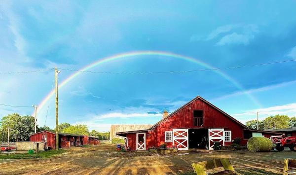 Silver Eagle Stable