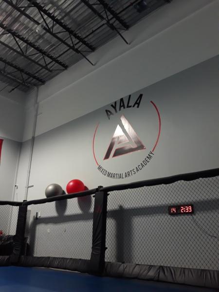 Ayala Mixed Martial Arts