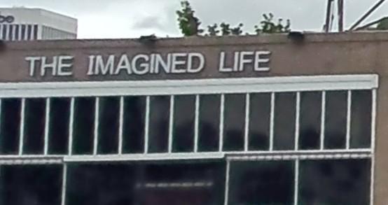 Diana Castle's the Imagined Life