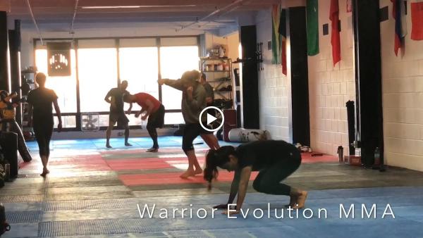 Warrior Evolution MMA