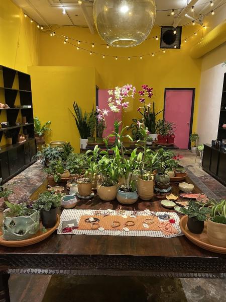 Little China Garden & Ceramics