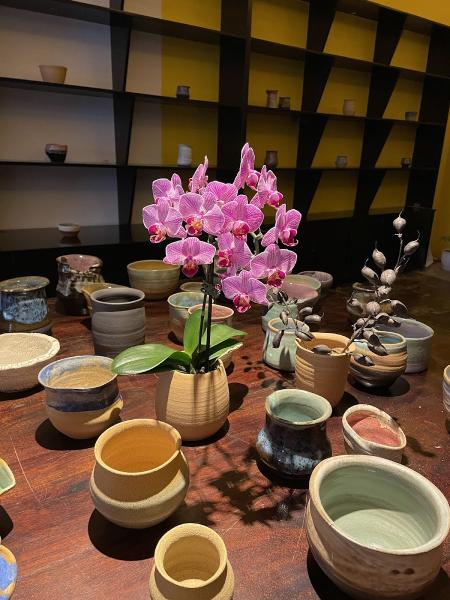 Little China Garden & Ceramics