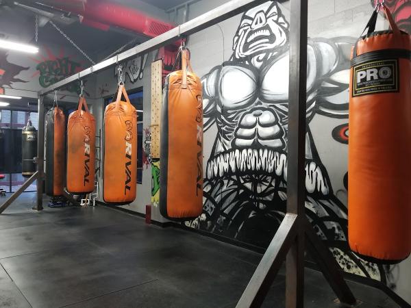 Irongloves Boxing Gym