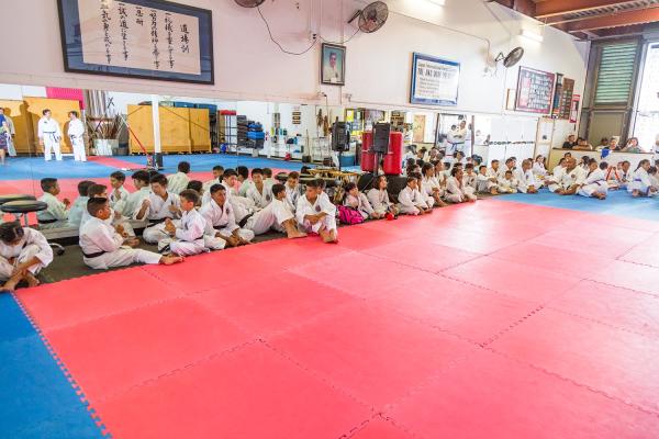 Japan International Karate Center
