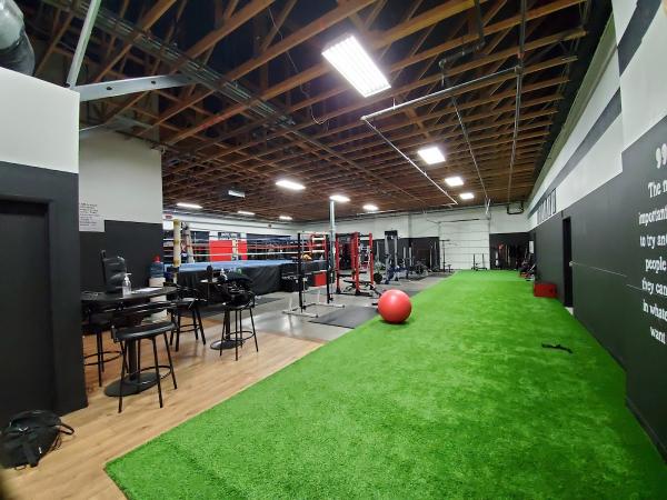 3D Boxing and Fitness