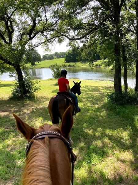 Harmony Hilltop Ranch