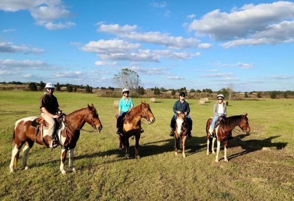 Diamond Oaks Farm Horseback Riding Center