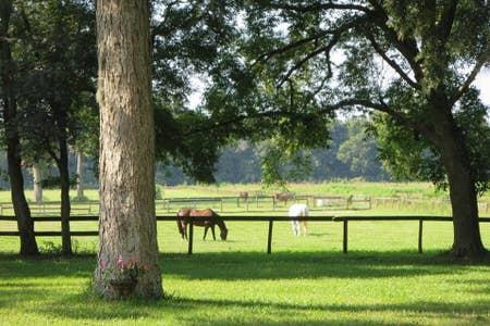 Diamond Oaks Farm Horseback Riding Center