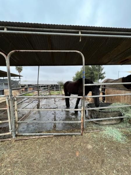 Sycamore Canyon Equestrian Center