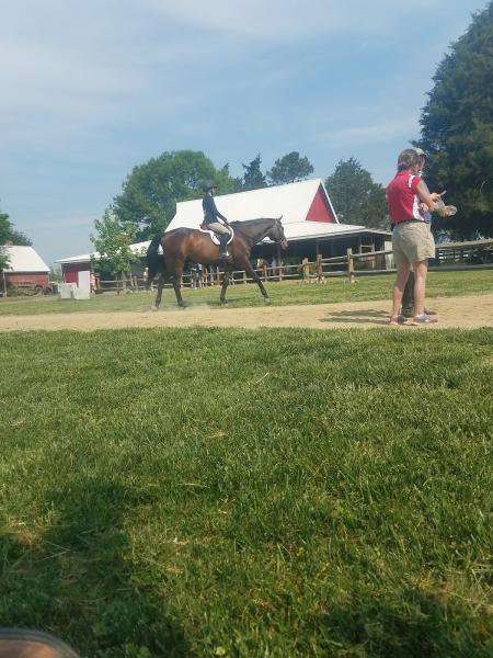 Campbell's Lane Farm