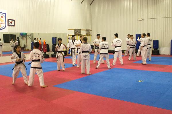 Young Brothers Taekwondo Copperfield