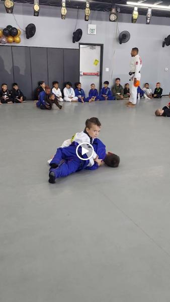Marcelo Mafra BJJ